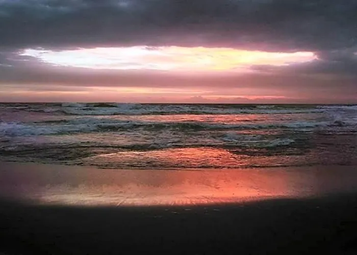 Pnb Bali